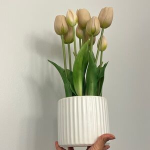 Elegant Cream Tulip Arrangement in White Planter
